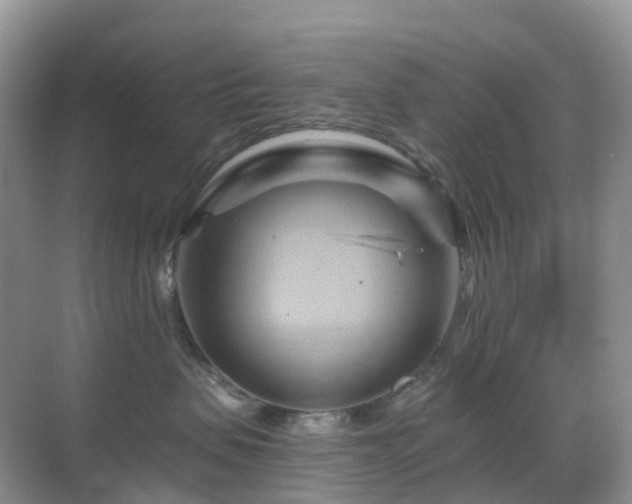 X0000068860479200605051243