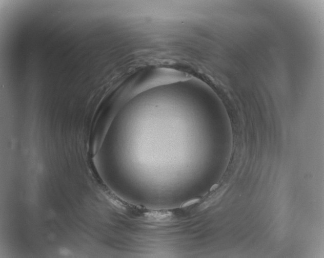 X0000068860480200605051243