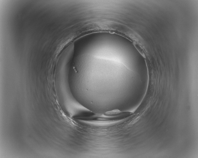 X0000068860481200605051243