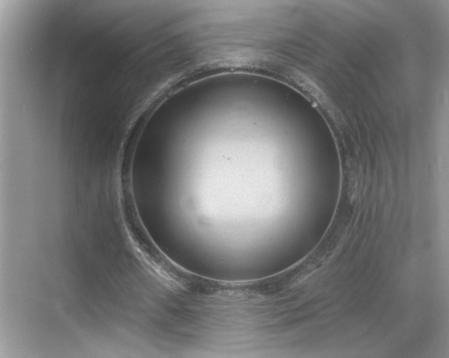 X0000068860482200605051243