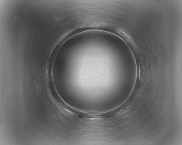 X0000068860483200605051243