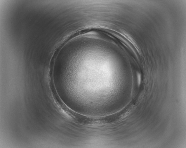 X0000068860485200605051243