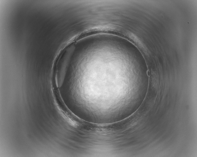 X0000068860486200605051243
