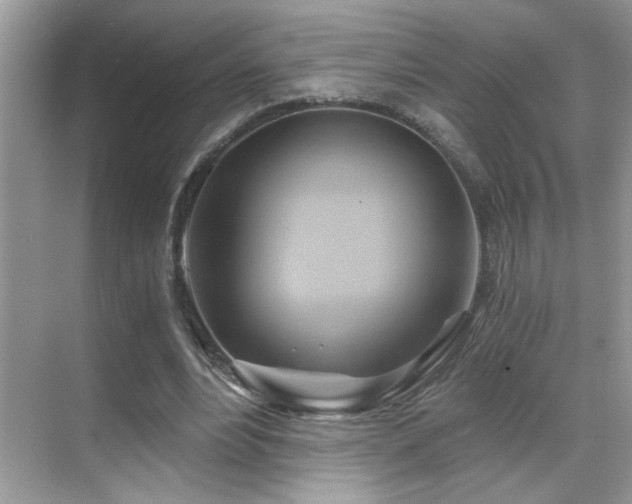 X0000068860488200605051242