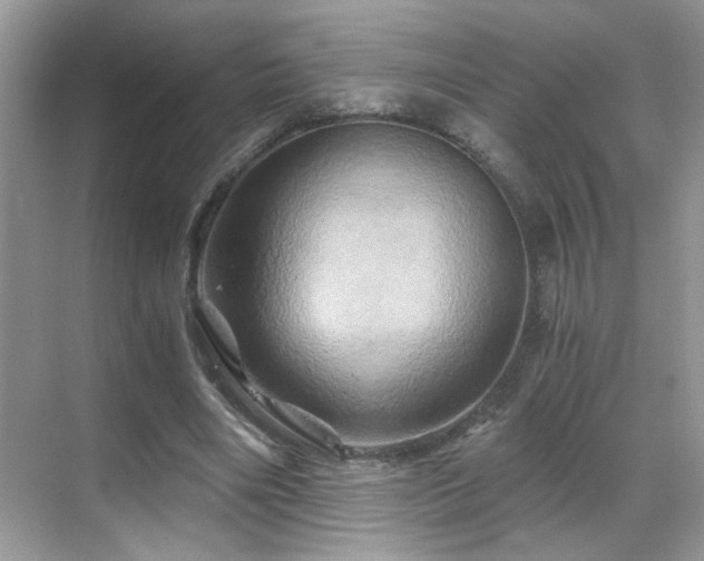 X0000068860490200605051242