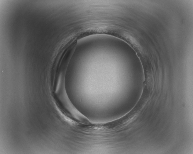 X0000068860493200605051242
