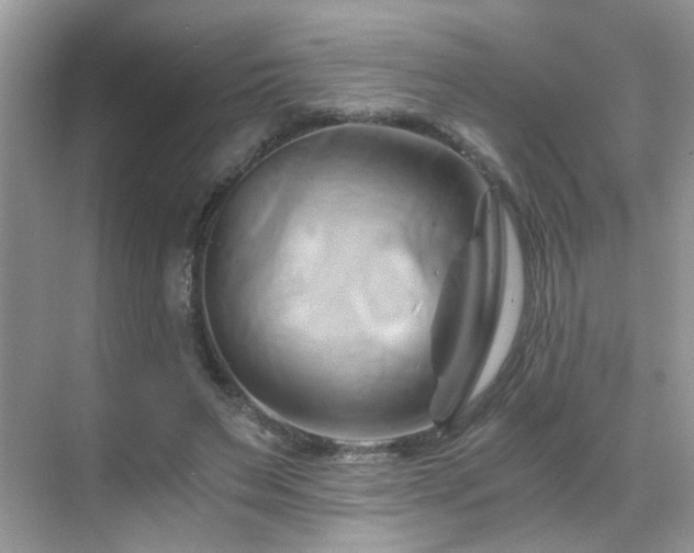 X0000068860495200605051242