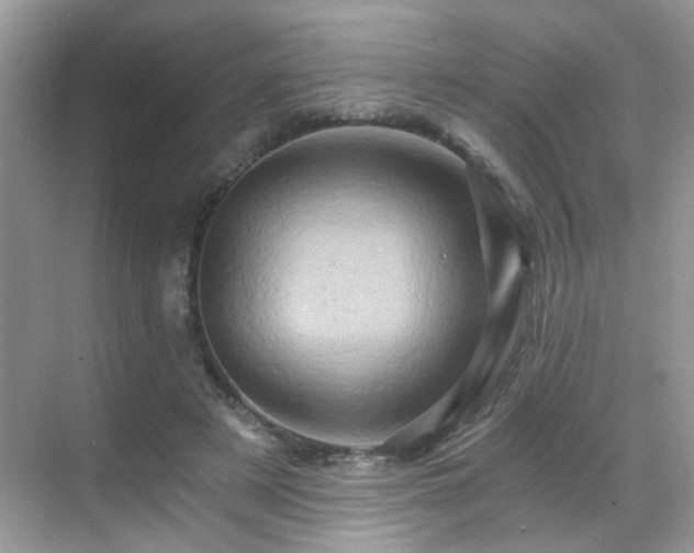 X0000068860497200605051242