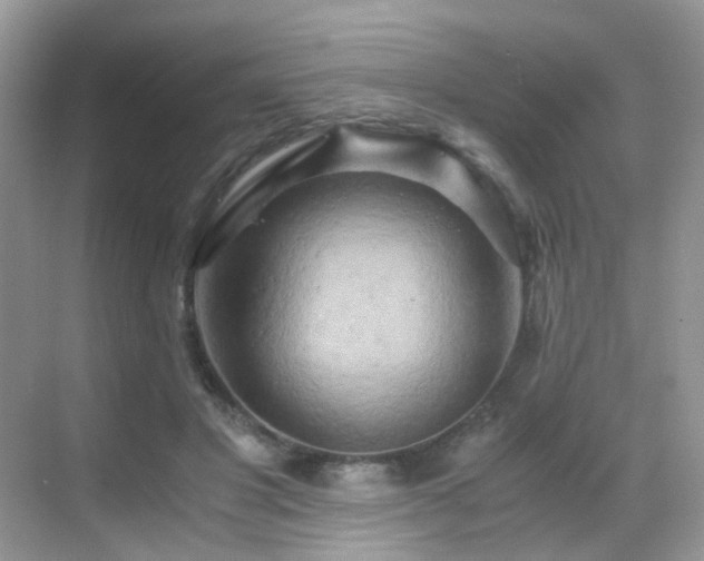 X0000068860501200605051242