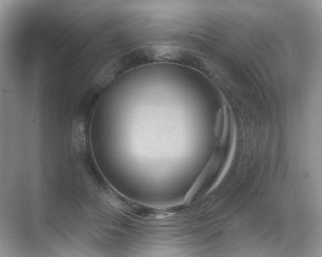 X0000068860506200605051242