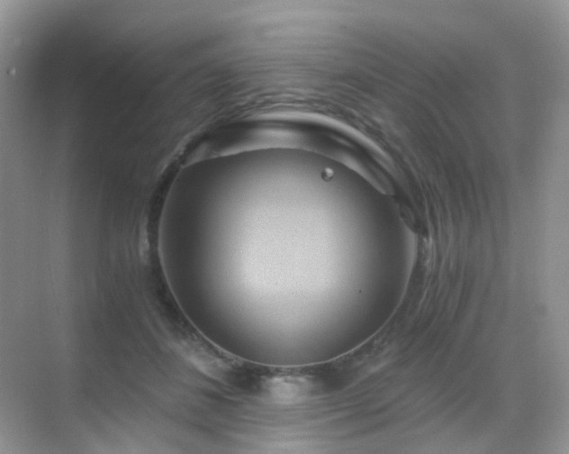 X0000068860508200605051242