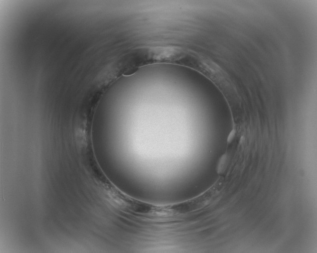 X0000068860510200605051242