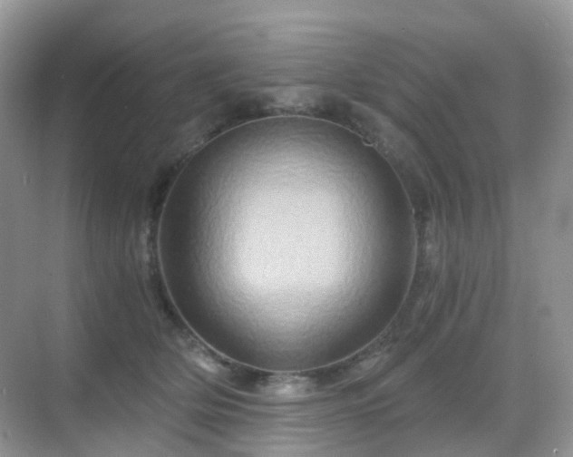 X0000068860514200605051242