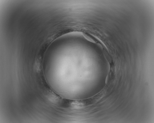 X0000068860515200605051242