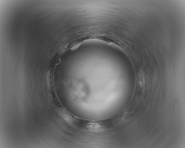 X0000068860519200605051242