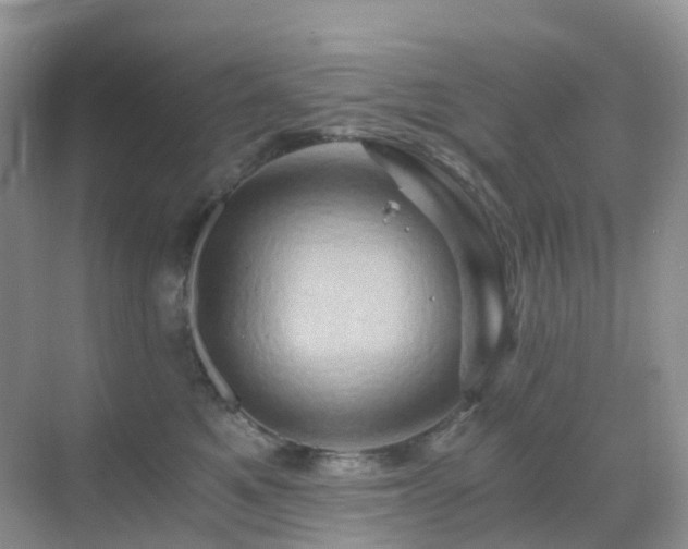 X0000068860521200605051242