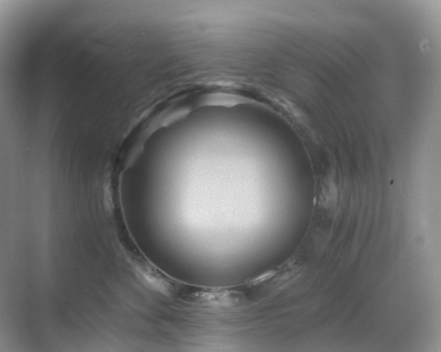 X0000068860524200605051242