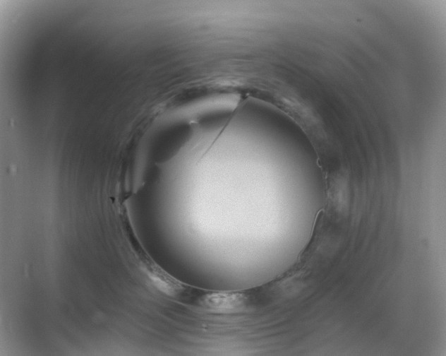 X0000068860526200605051242