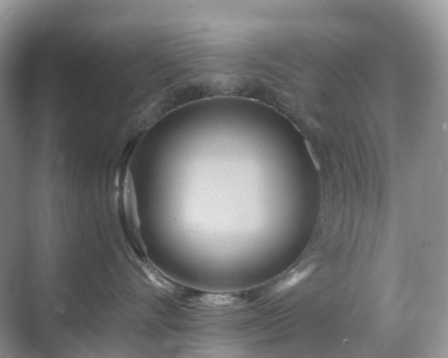 X0000068860528200605051242