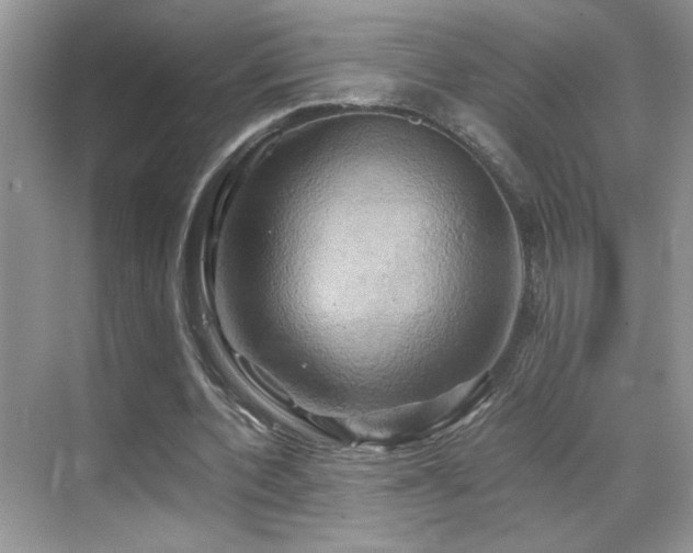 X0000068860532200605051241