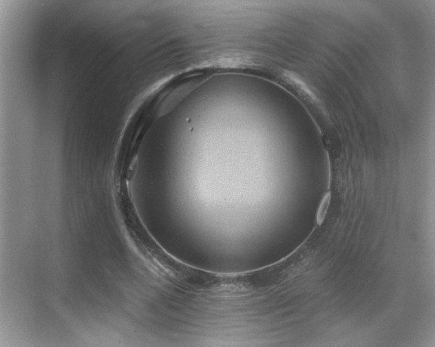 X0000068860536200605051241