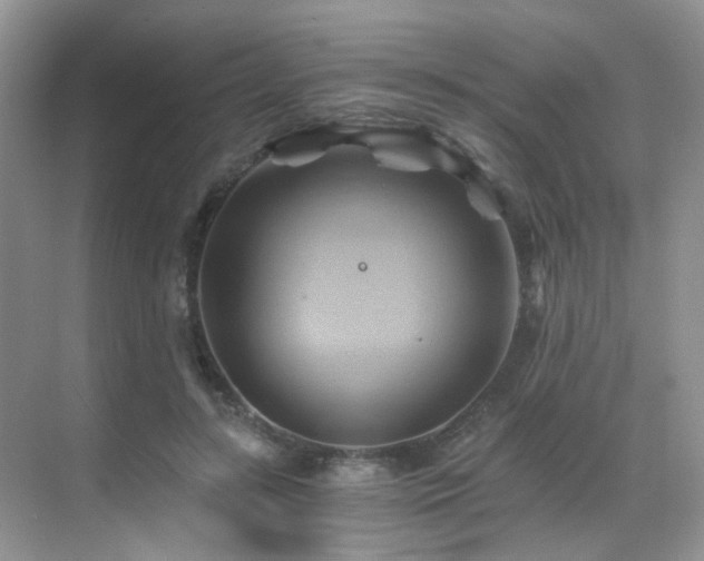 X0000068860547200605051241