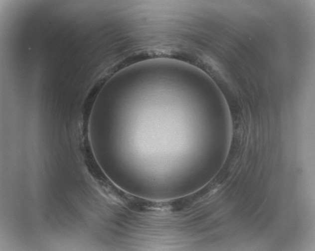 X0000068860548200605051241