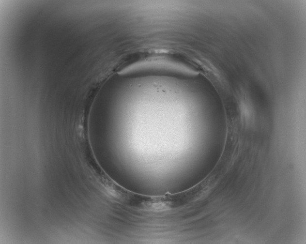 X0000068860553200605051241