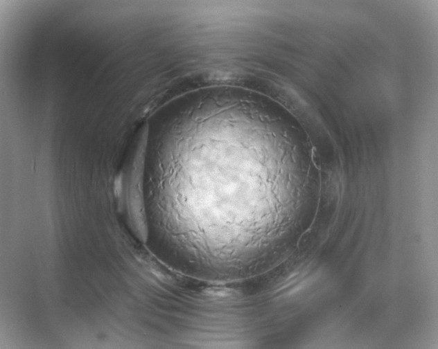 X0000068860557200605051241