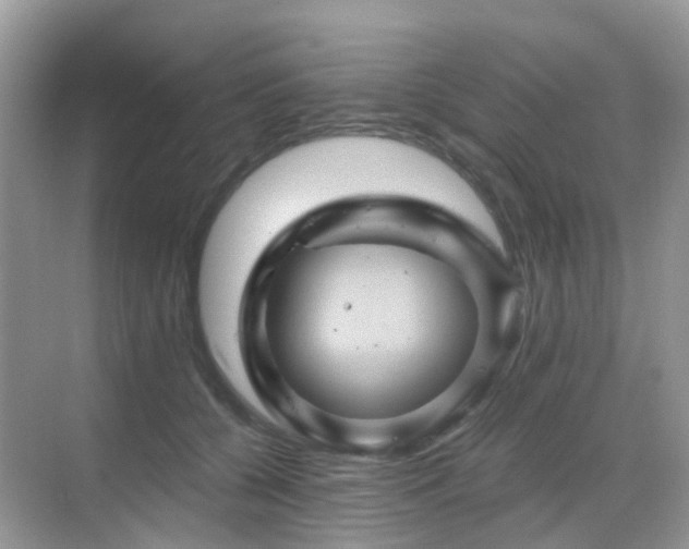 X0000068860560200605051242