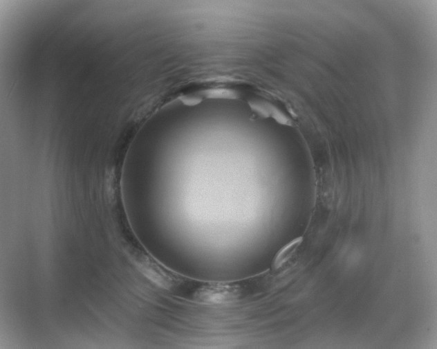 X0000068860563200605051242