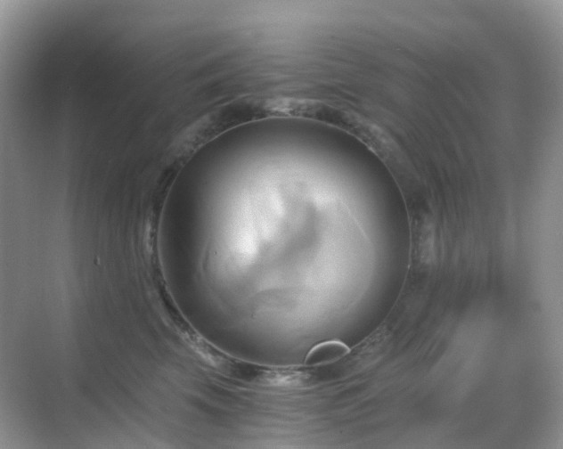 X0000068860569200605051242