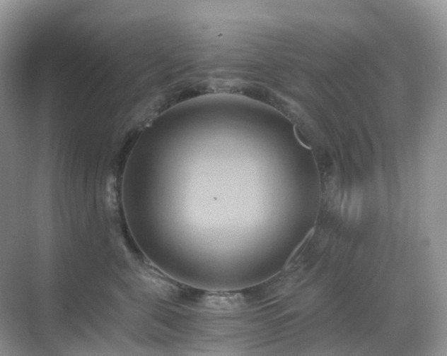X0000068860571200605051242