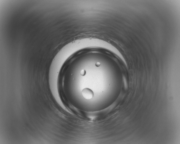 X0000068860572200605051242