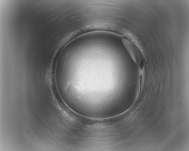 X0000068860578200605051241