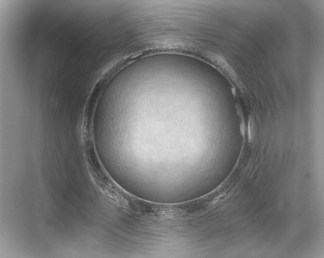 X0000068860579200605051241