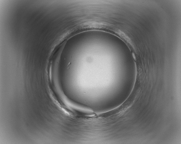 X0000068860581200605051241