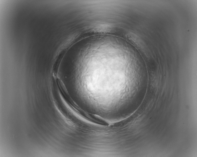 X0000068860586200605051241