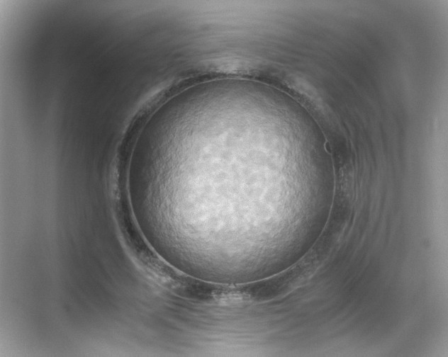 X0000068860587200605051241