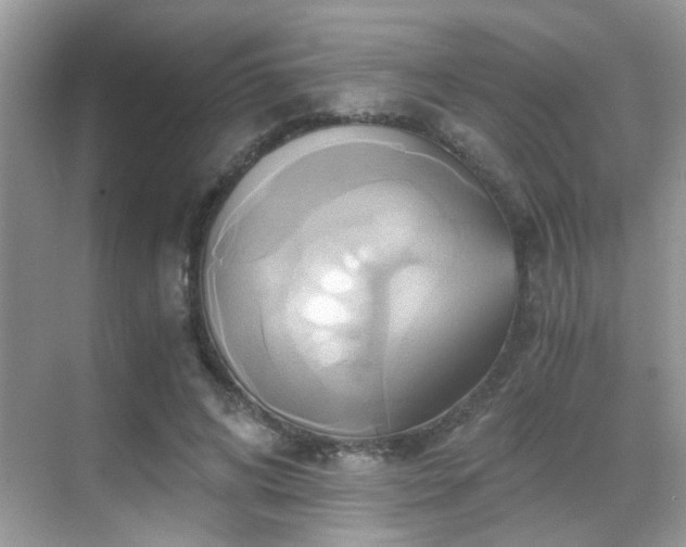 X0000068860592200605051241