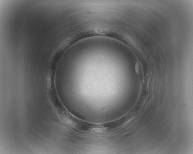 X0000068860595200605051241
