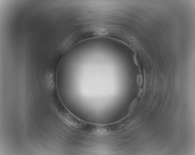 X0000068860598200605051241