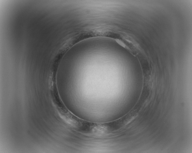 X0000068860599200605051241