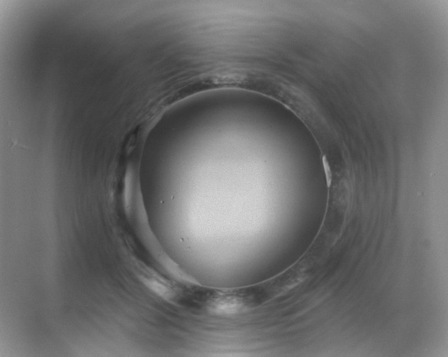 X0000068860604200605051241