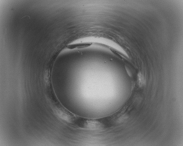 X0000068860605200605051241