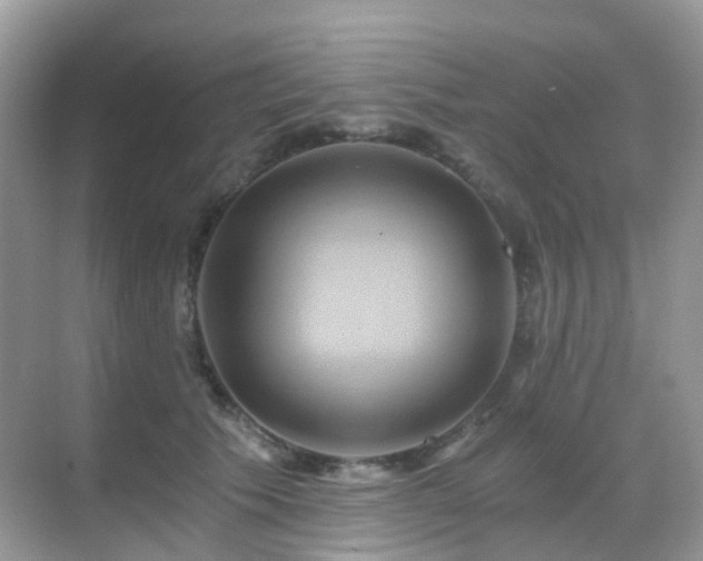 X0000068860609200605051240