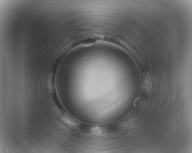 X0000068860616200605051240