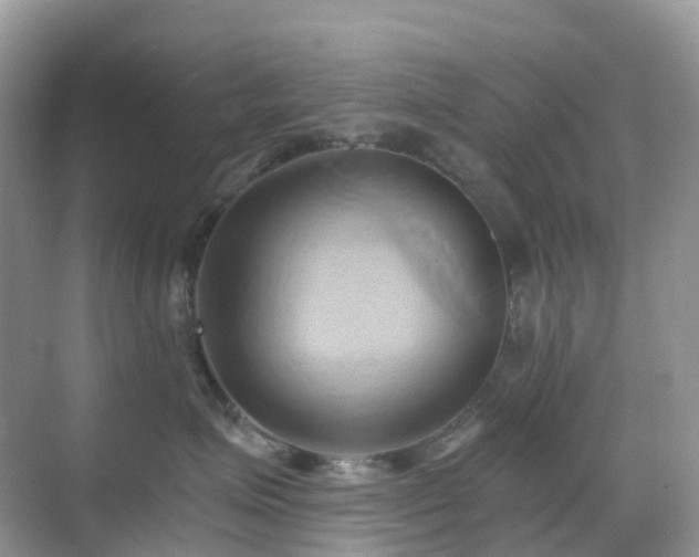 X0000068860623200605051240