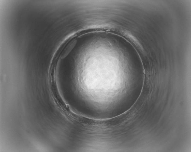 X0000068860628200605051239