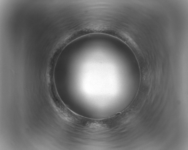 X0000068860635200605051240